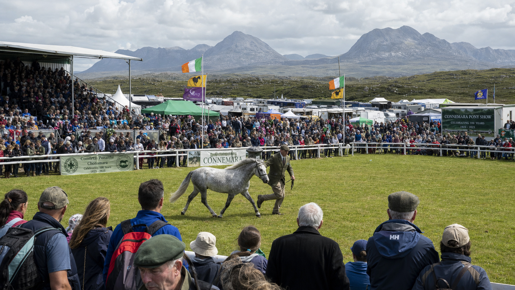 101st Connemara Pony Show Opens in Clifden with 8,000 Visitors as Breed's Global Reputation Drives Tourism Boom